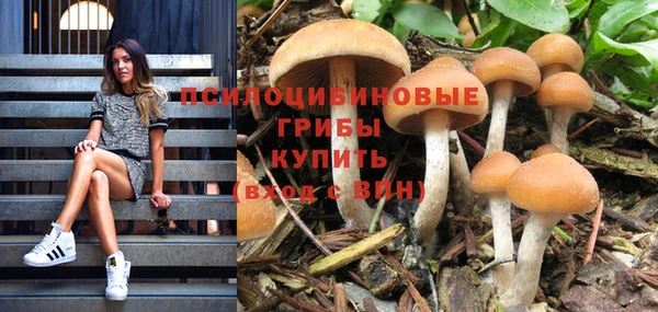 первитин Лиски
