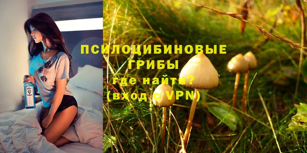 гашик Медногорск
