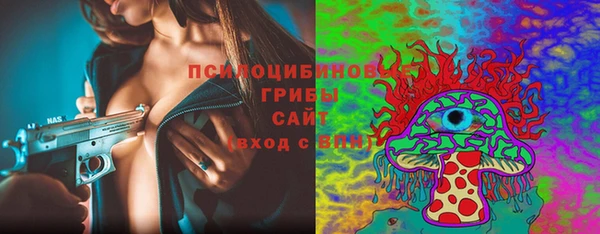 первитин Лиски