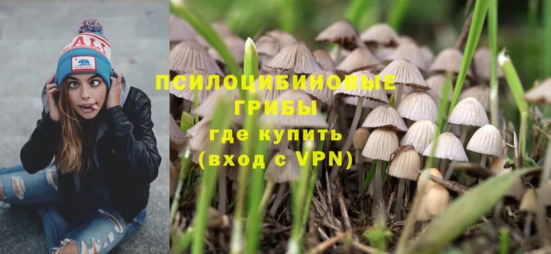 дарк нет формула  где продают   Канск  Галлюциногенные грибы MAGIC MUSHROOMS 