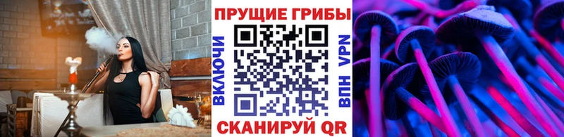 Псилоцибиновые грибы Cubensis  наркотики  OMG сайт  Канск 