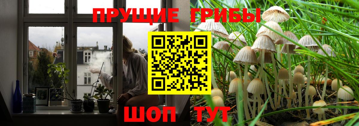 Канск  Псилоцибиновые грибы ЛСД  Вход с VPN 
